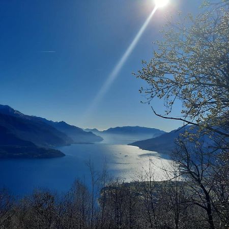 Fantastic Lake Como Apartment Musso ภายนอก รูปภาพ